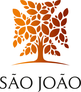 ULS de São João