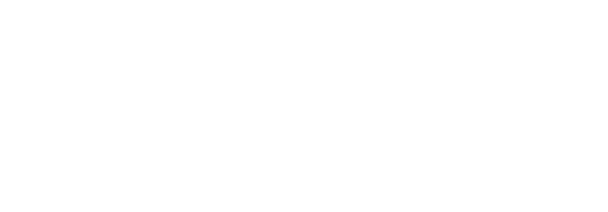 Vivisol · Home Care Services